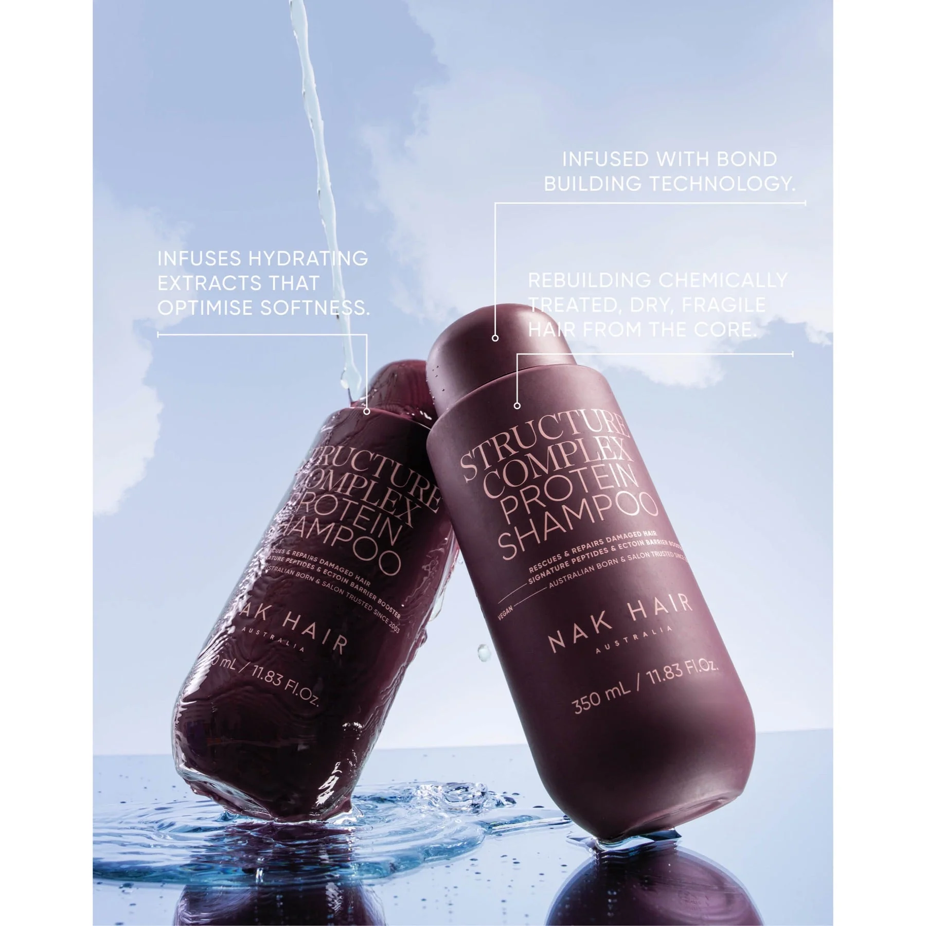 Nak Hair Signature Holiday Structure Complex Duo 2025 - Image 4